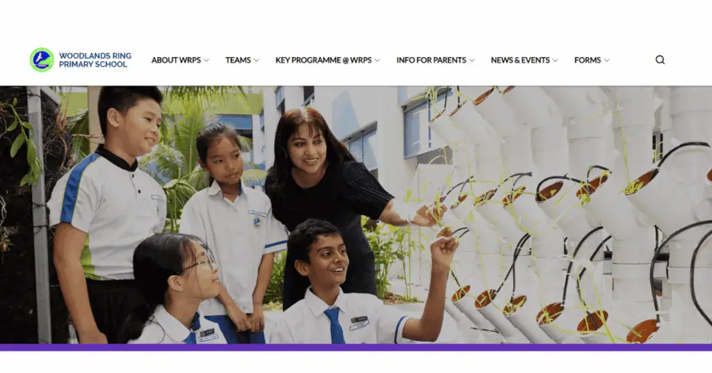 woodlandsring primary school.jpg